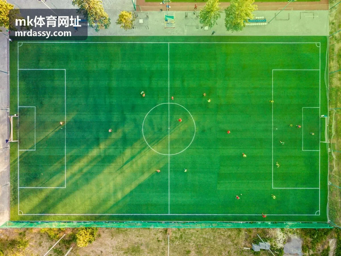 mk体育网址入口使用说明封面